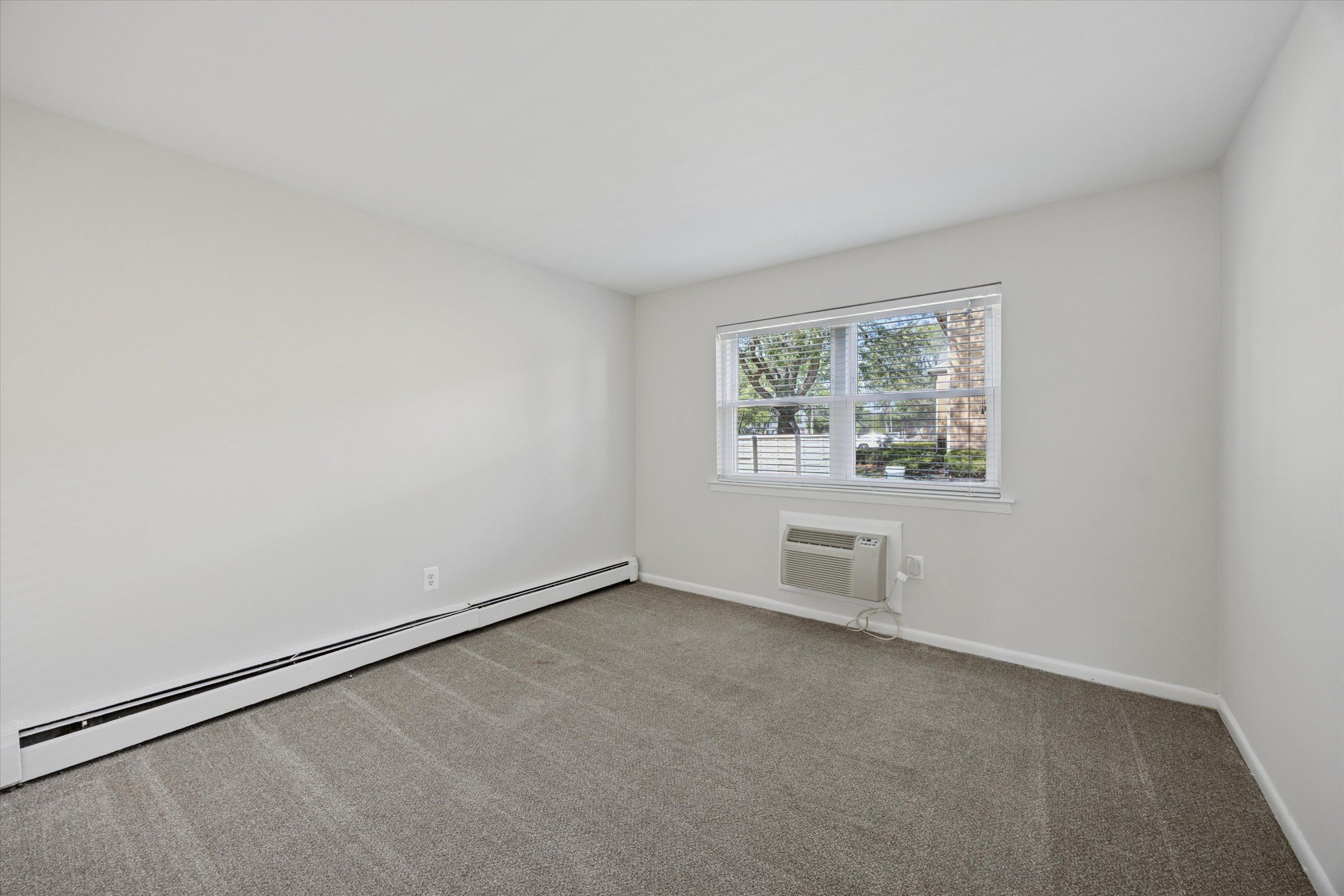 Gallery Photo 36